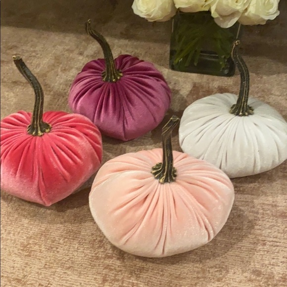 Fall Decor Plush Pumpkin Set of 4 monochromatic Pinks - Picture 1 of 4